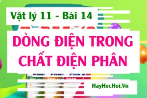 Dòng điện trong chất điện phân, Thuyết Điện li, Định luật FA-RA-ĐÂY và Ứng dụng - Vật lý 11 bài 14